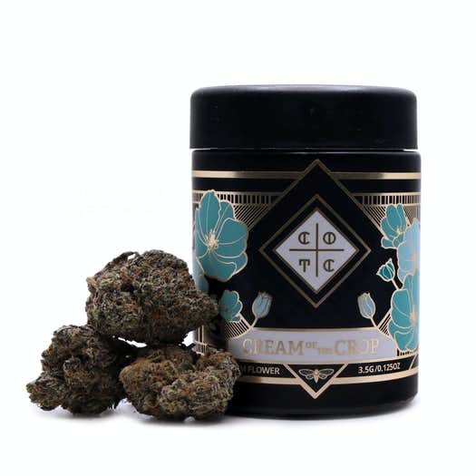 Purple Thunder Purple Thunder