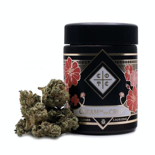 Sour Chem Chemdog Sour Diesel (or Chem Sour) from Reservoir Seeds is a sativa-dominant hybrid cannabis strain that combines champion genetics from Chemdog D and Sour Diesel. With a sharp sour bite, Chemdog Sour Diesel has a funky fuel and earthy pine aroma that stuns the senses. Its buzzing euphoria leaves you feeling elevated and uplifted, but anxiety-prone individuals should tread carefully with this high-flying sativa.