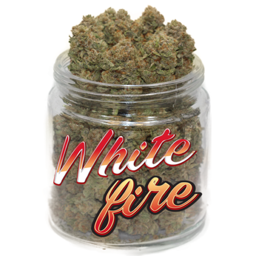 White Fire OG White Fire OG