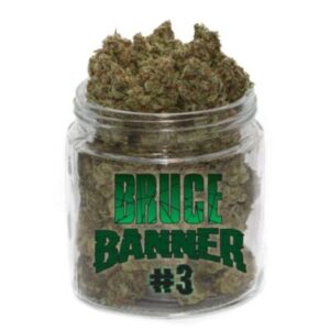 bruce banner#3